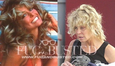 Farrah Fawcett's Mostrar imagen