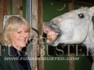 Camilla Parker y Sarah Jessica Parker