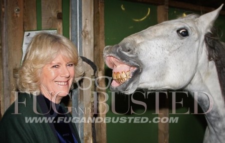 Camilla Parker Bowles y Sarah Jessica Parker Camilla Parker Bowles y Sarah Jessica Parker