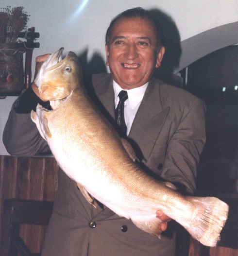 Famosas que se parecen al Joker II: Priscilla Presley » trucha trucha